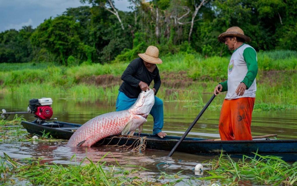 Programa abre plantão de inscrições para negócios da bioeconomia no interior do Amazonas