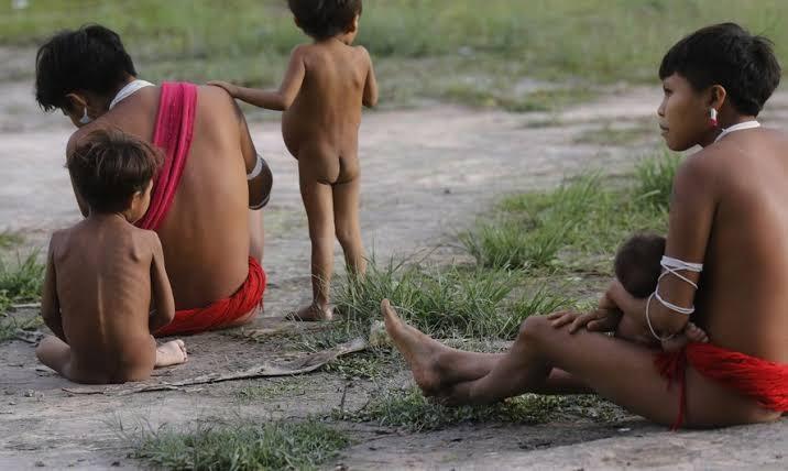 Senado fará diligências sobre situação Yanomami