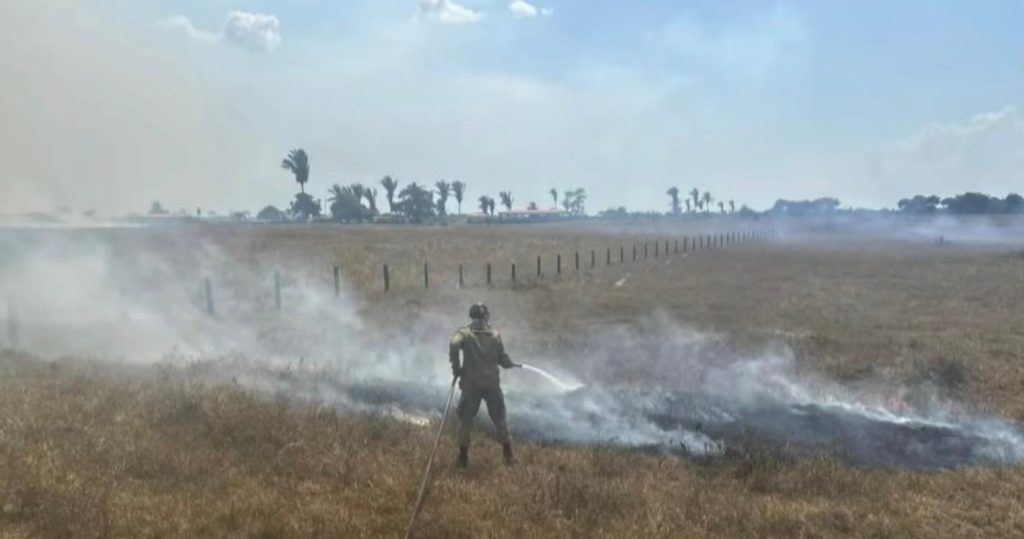 Bombeiros combatem incêndio em vegetação às margens da BR-319
