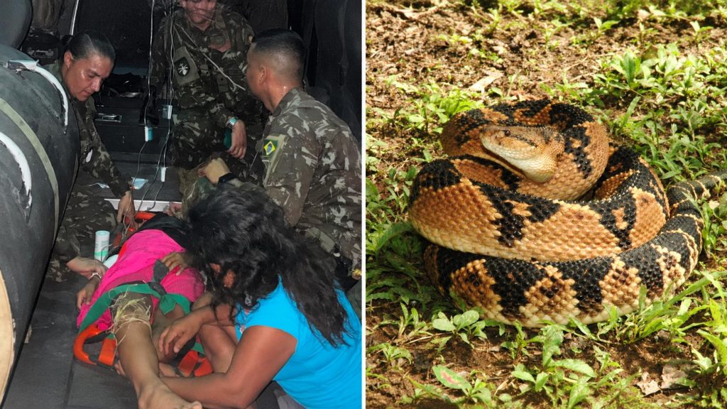Indígena Deni de 12 anos é resgatada após picada de cobra no AM