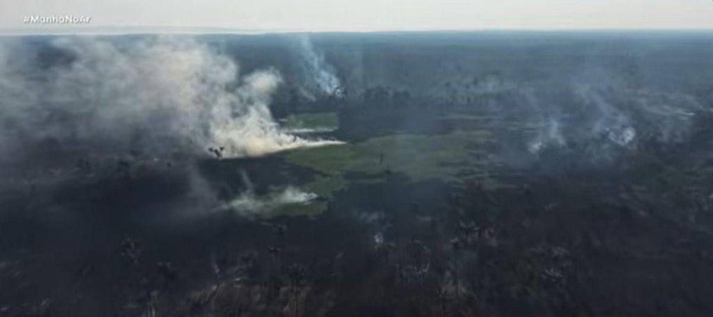 Amazonas registra 3.070 incêndios florestais em 2026 e queimadas saltam 135%