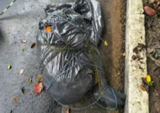 Polícia apura nove mortes com sinais de execução em SP