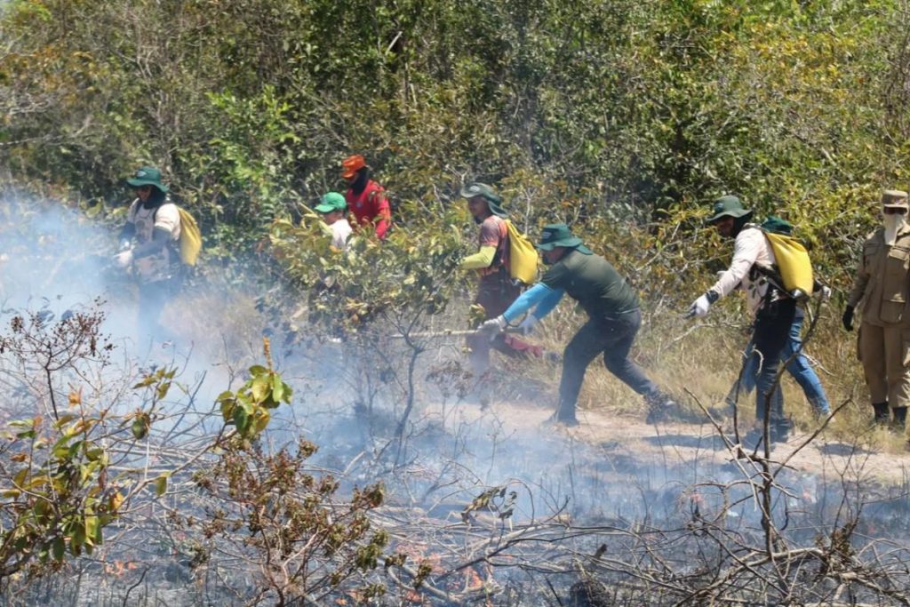 Parintins contrata dez brigadistas para combater queimadas