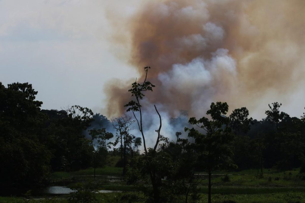 Ação popular questiona omissões no combate às queimadas no Amazonas e no Pará