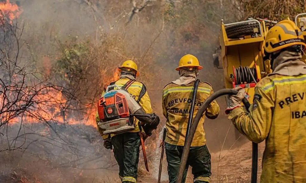União entre governos busca conter queimadas no Amazonas
