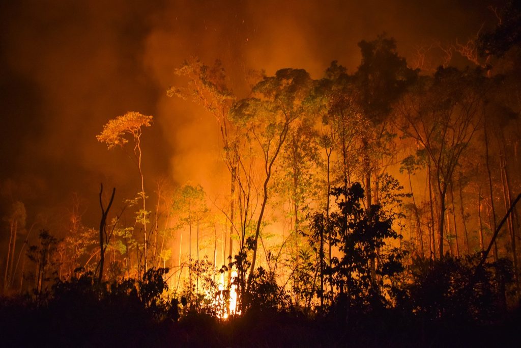 Fogo e desmatamento transformam Amazônia em fonte de carbono para a atmosfera